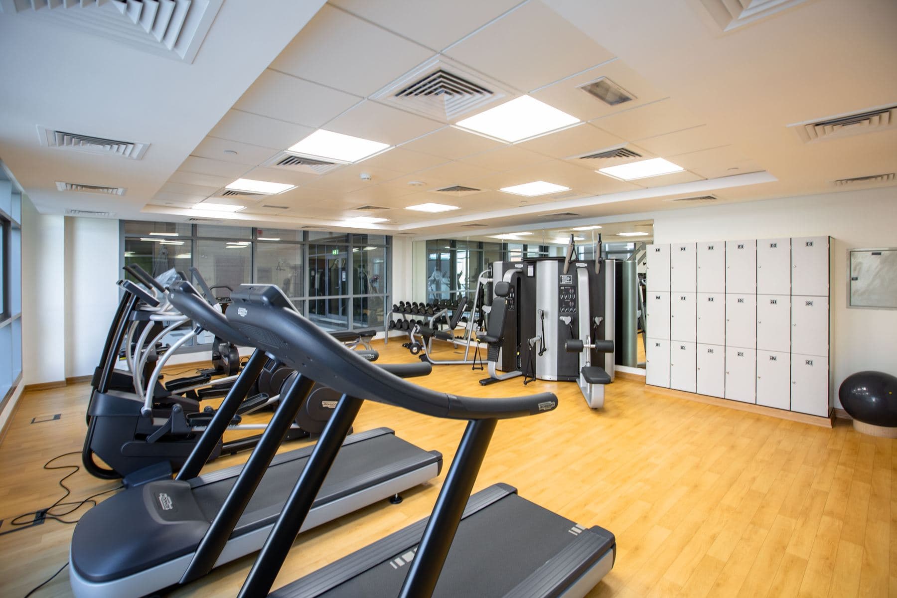Una fila di tapis roulant e attrezzi cardio in una palestra vuota, illuminata da luce naturale